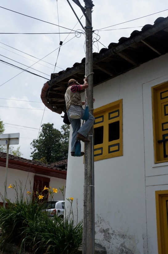 stii care e problema din salento?