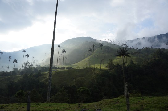 valea lu' cocora