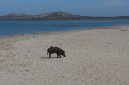 plaja cabo de la vela
