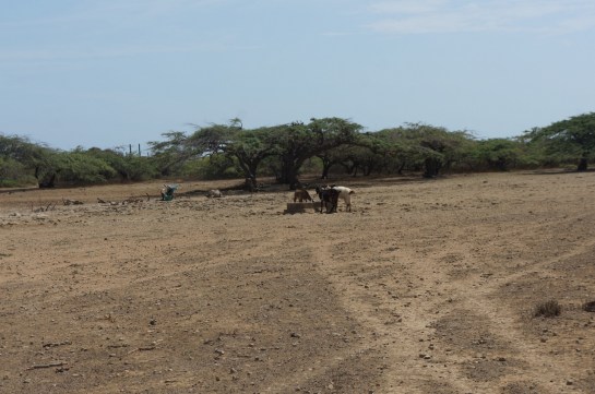 africa americii de sud