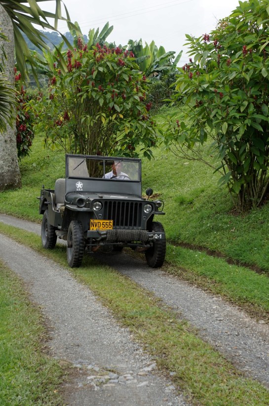 trilulilu prin plantatie