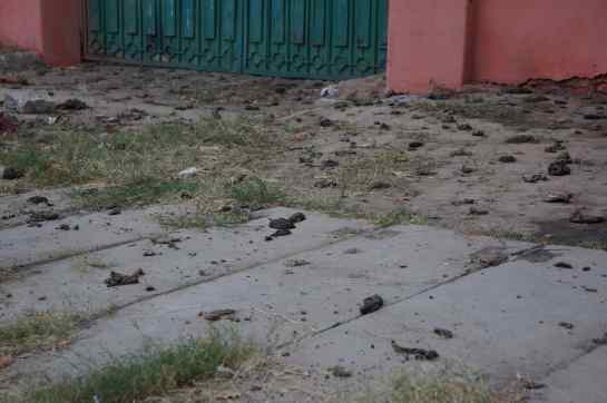 universitate de rahat