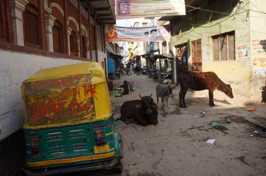 curatenie de varanasi
