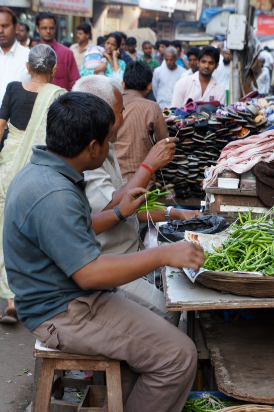 trifoiu cu patru foi indian