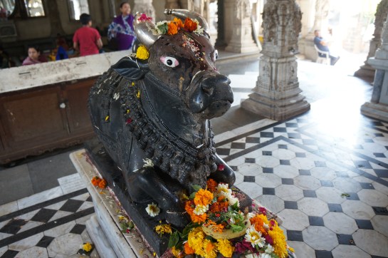 vehicolul lui vishnu