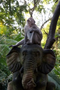 eu sunt mic tu fa-ma mare