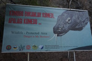 danger is my business